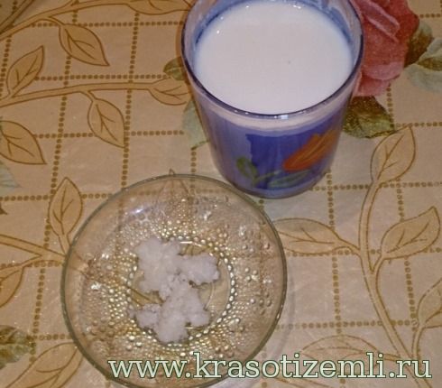 молочный гриб