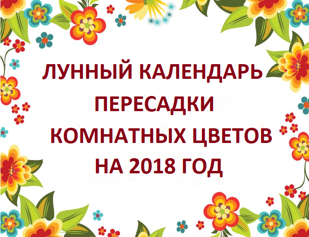 лунный календарь пересадки комнатных цветов на 2018 год