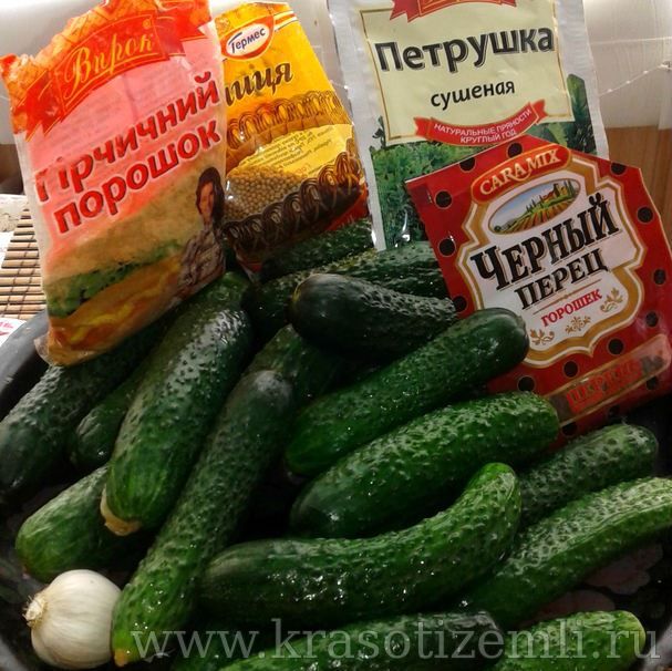 ингредиенты для маринованных огурцов