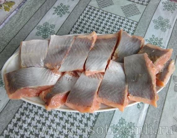 как посолить горбушу